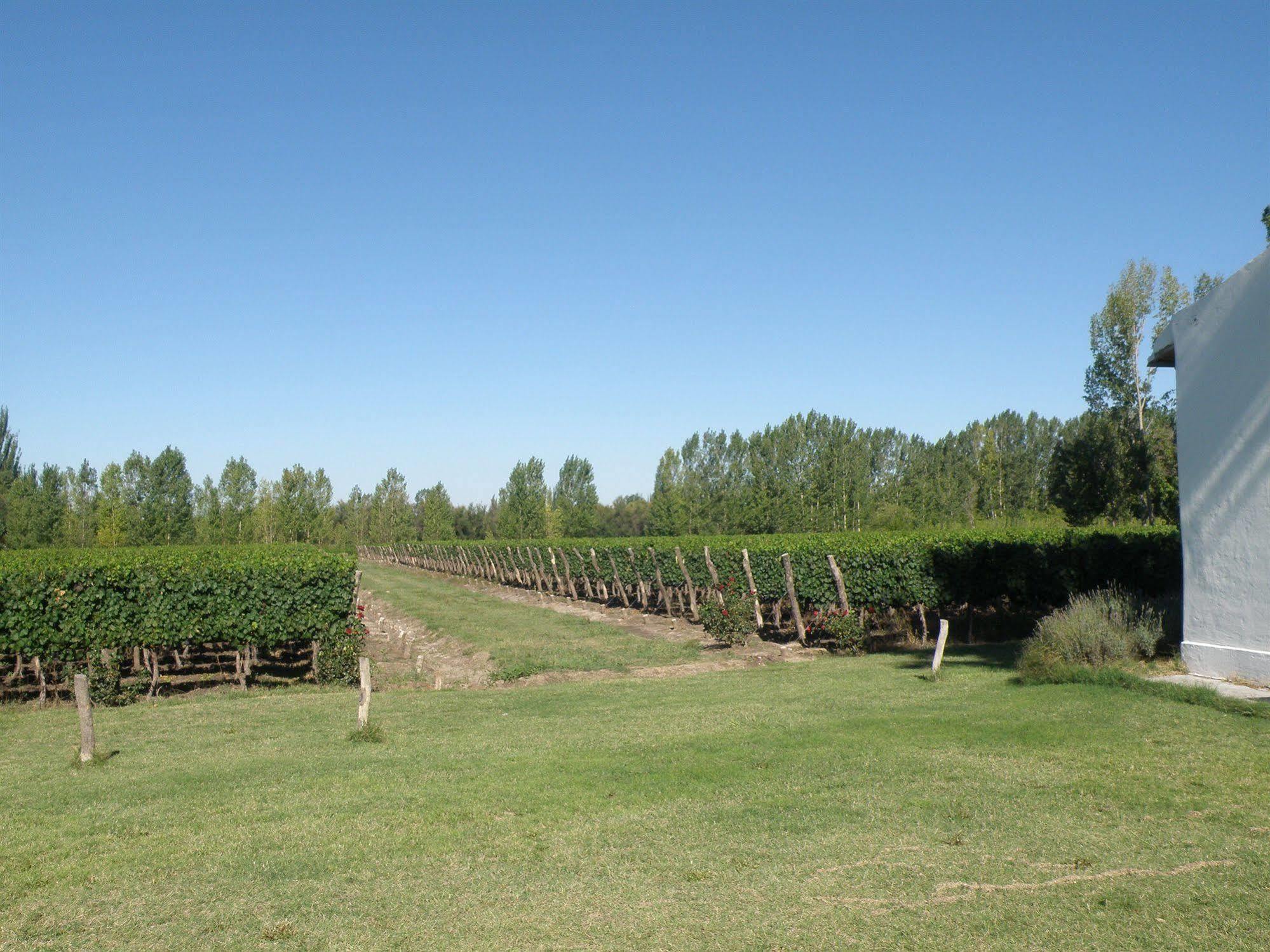 Postales Boutique Winery Hotel - Valle De Uco Colonia Las Rosas Exterior foto