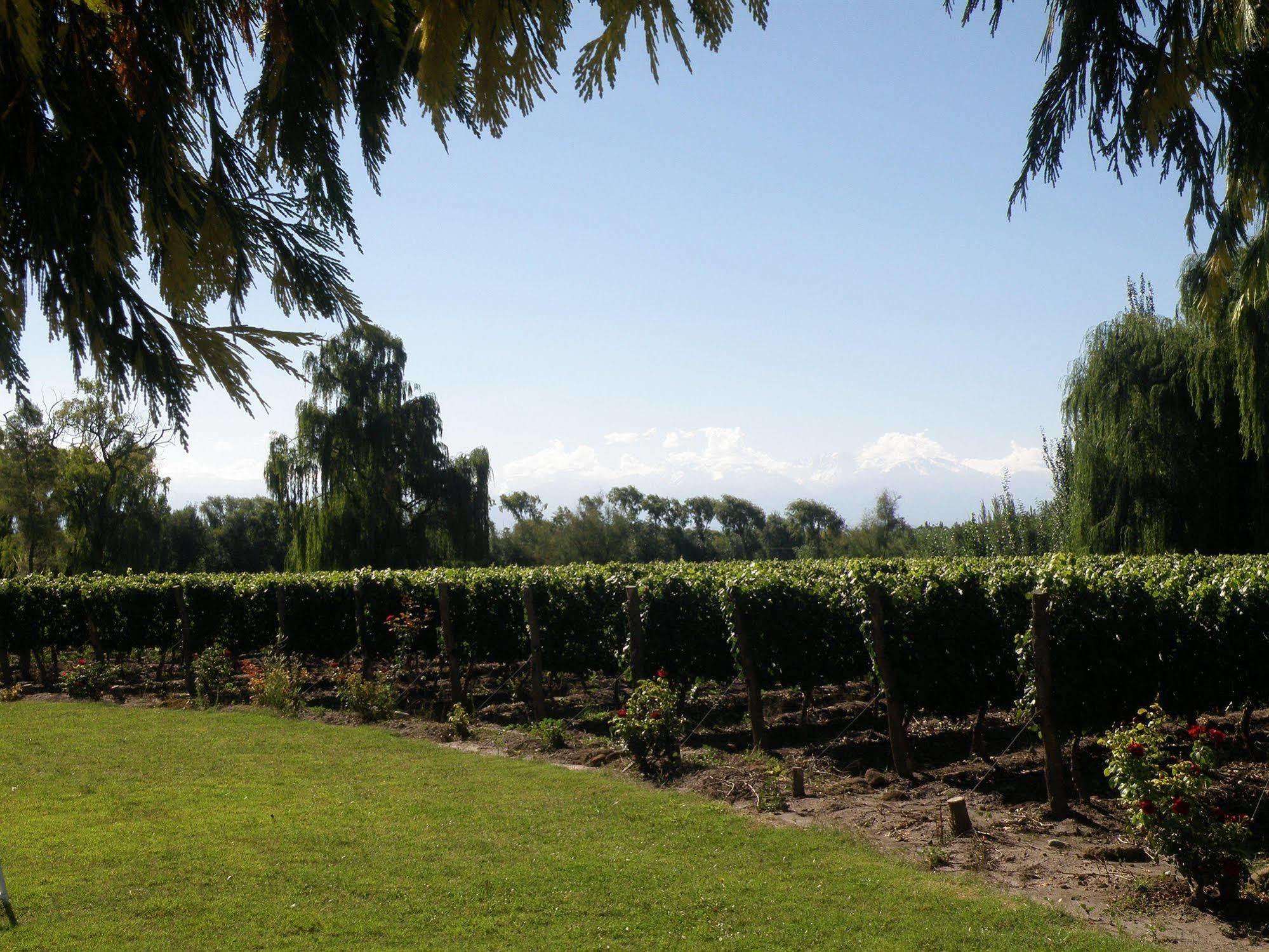 Postales Boutique Winery Hotel - Valle De Uco Colonia Las Rosas Exterior foto