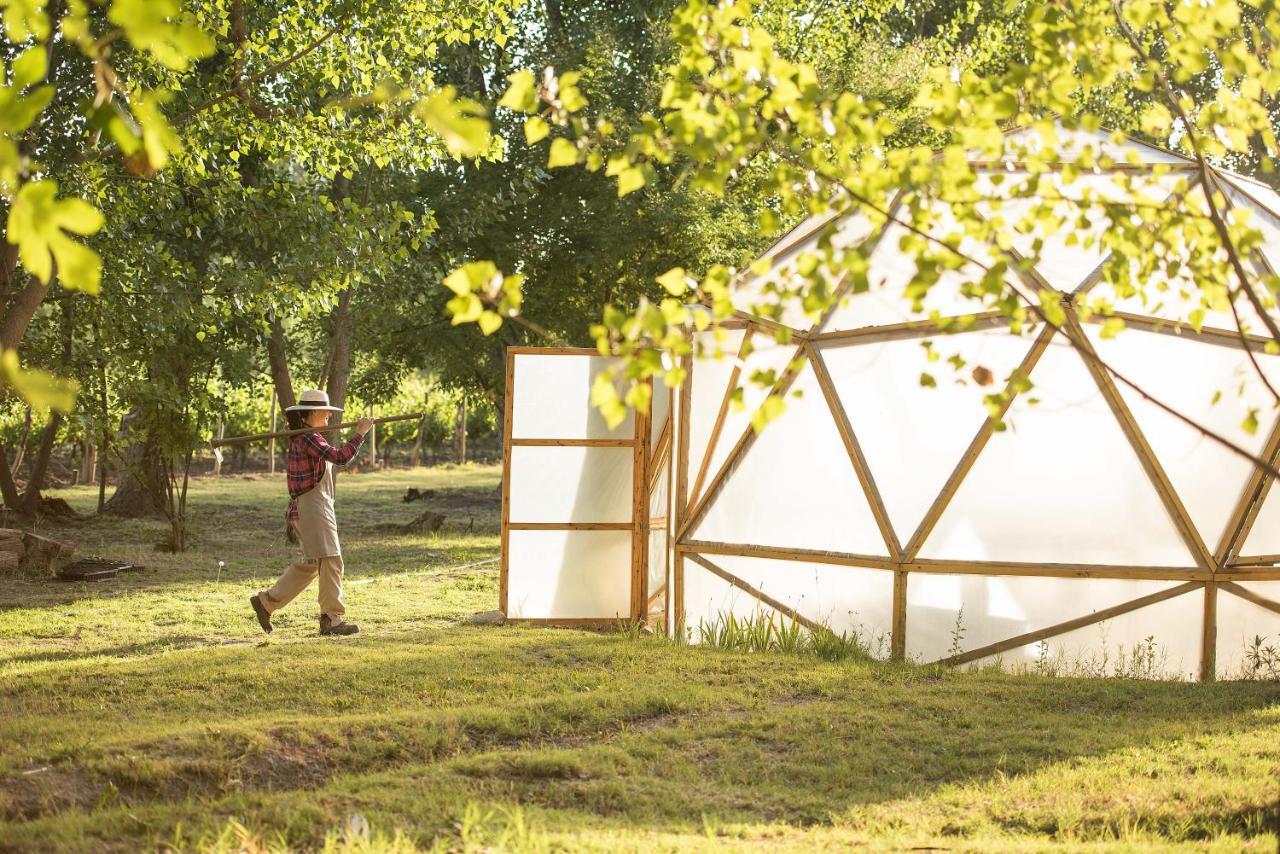 Postales Boutique Winery Hotel - Valle De Uco Colonia Las Rosas Exterior foto